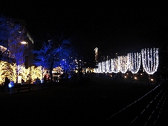 東京ミッドタウン(イルミネーション)