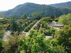 北川村「モネの庭」 マルモッタン