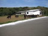 杉の原