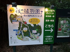 牧野植物園